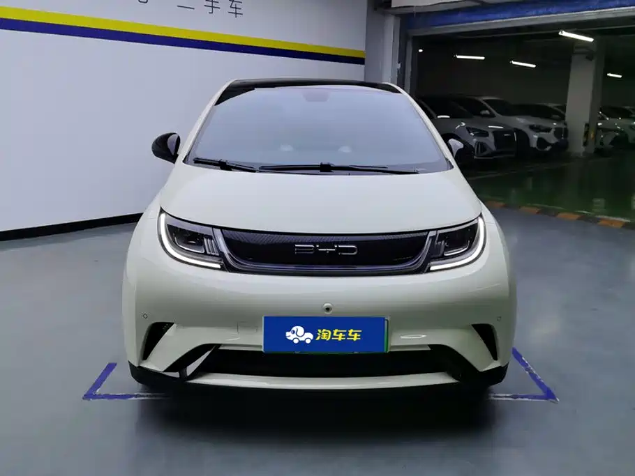 BYD Dolphin — миниатюра 2