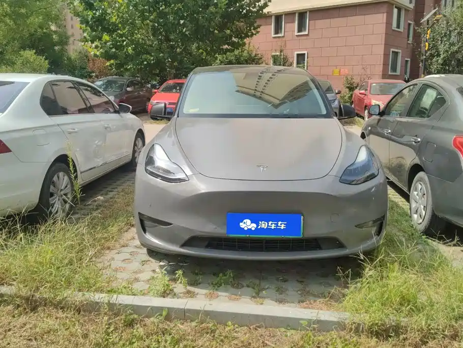 Tesla Model Y — миниатюра 2