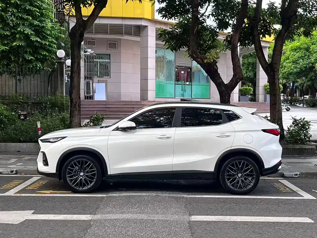 Oshan Oushang X5 — миниатюра 16