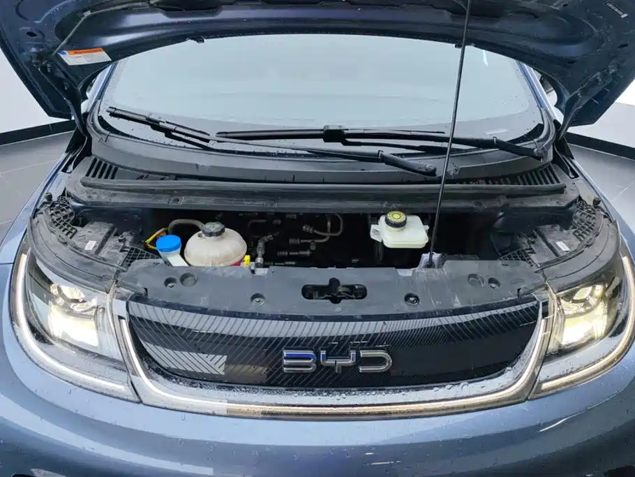 BYD Dolphin — миниатюра 10