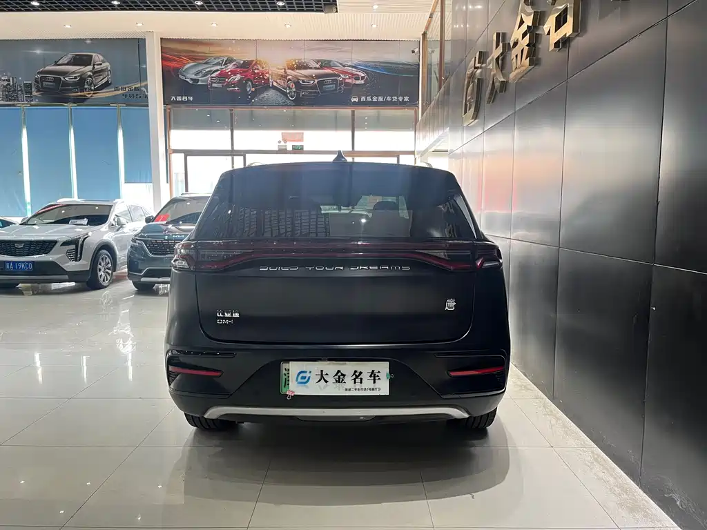 BYD Tang New Energy — миниатюра 15