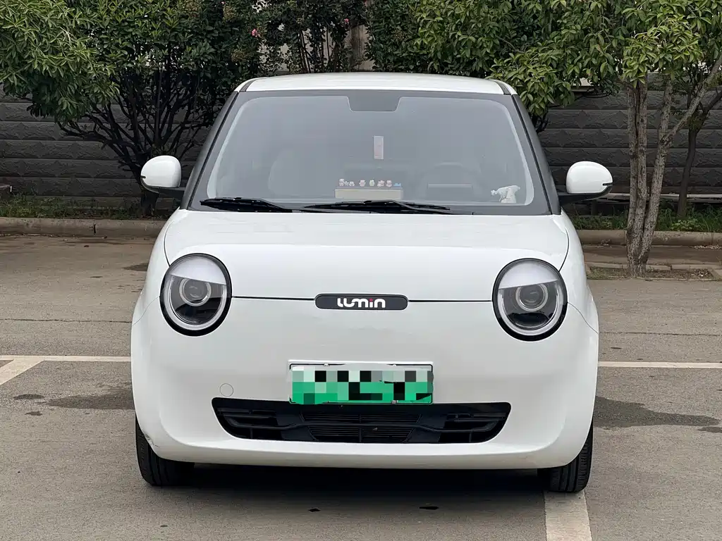 Qiyuan Lumin — миниатюра 2