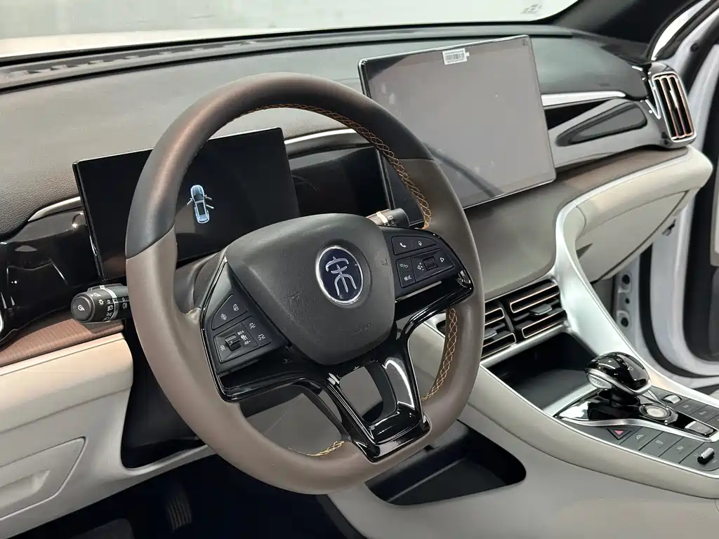 BYD SONGJIANG NEW ENERGY