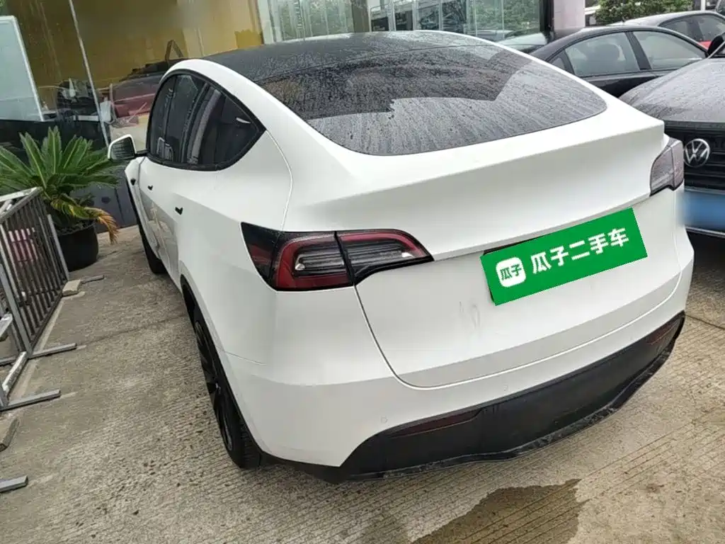 Tesla Model Y — миниатюра 5