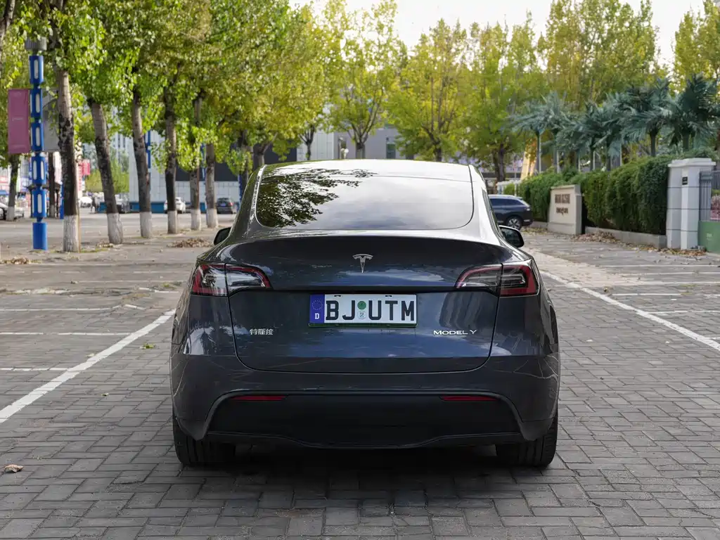 Tesla Model Y — миниатюра 6