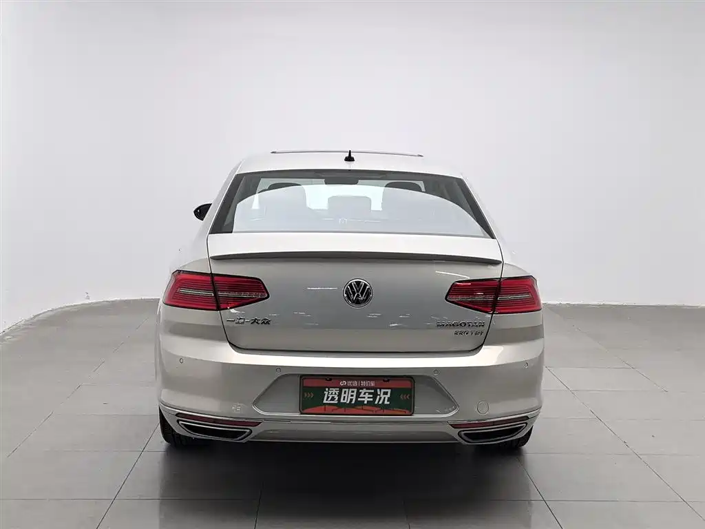 Volkswagen Magotan 2019 330TSI DSG Luxury VI