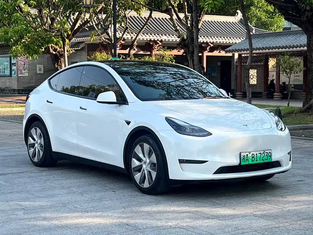 Tesla Model Y — миниатюра 3