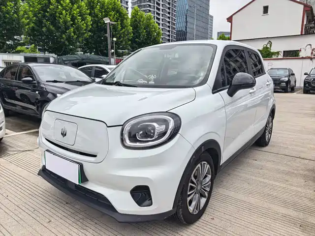 2021 Leapmotor T03