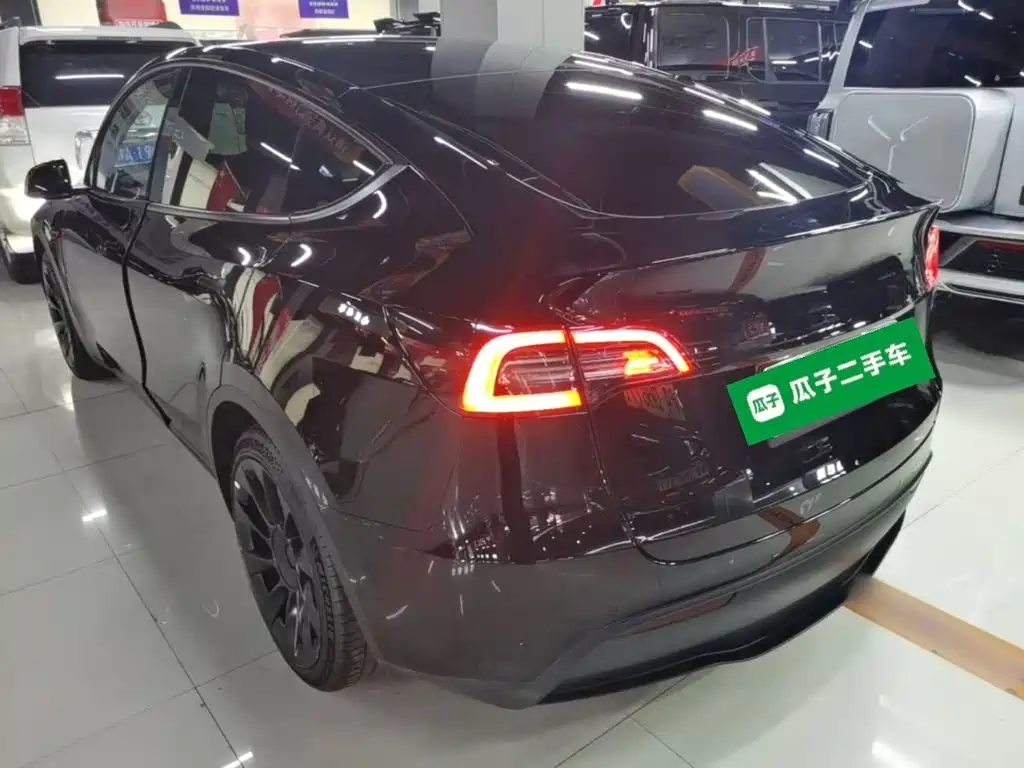 Tesla Model Y — миниатюра 5