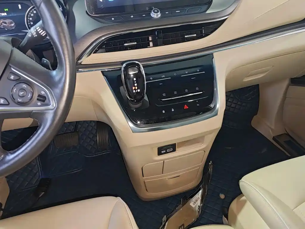 Buick GL8 — миниатюра 14