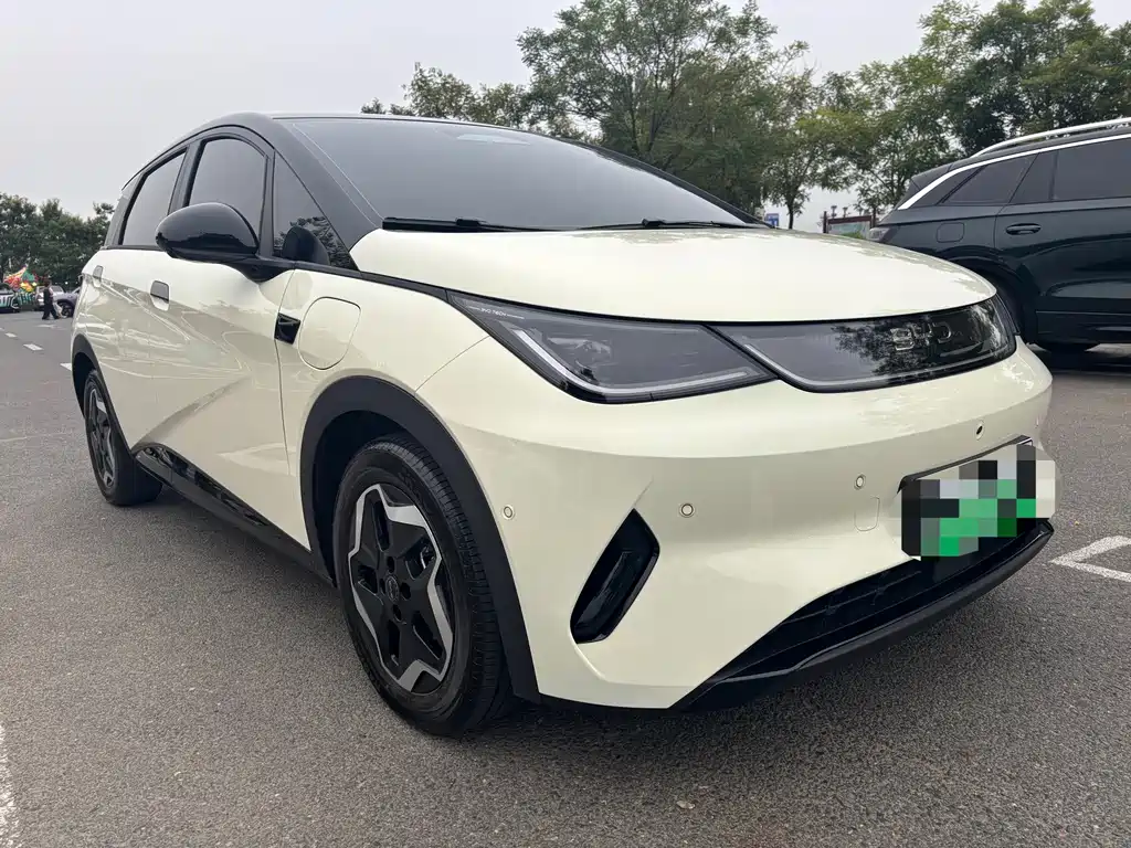 BYD Dolphin — миниатюра 3