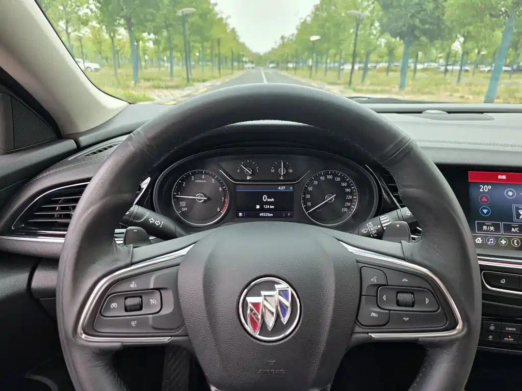 Buick Regal — миниатюра 19