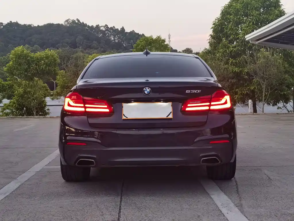 BMW 5 Series (Import) — миниатюра 7