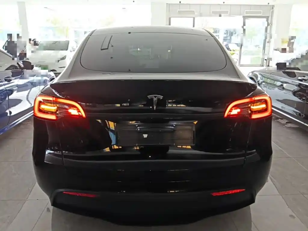 Tesla Model Y — миниатюра 6