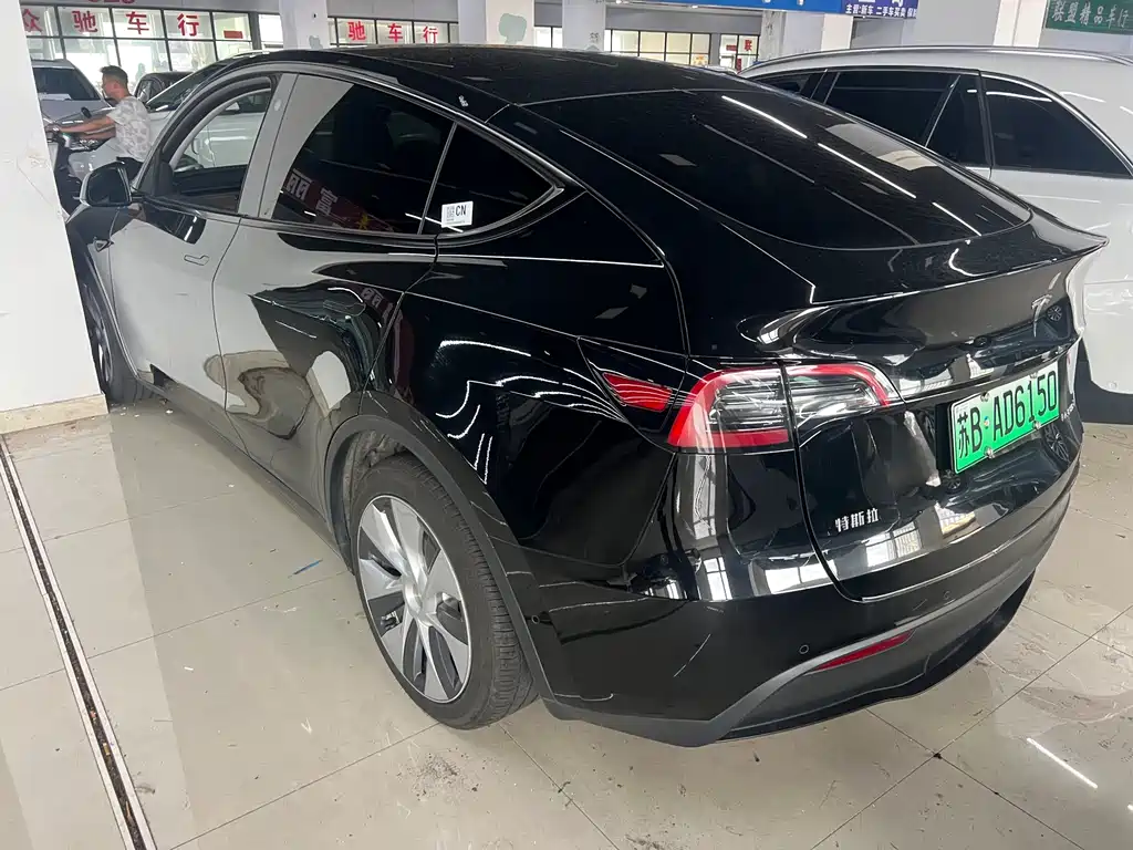Tesla Model Y — миниатюра 7