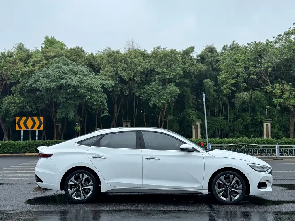 Hyundai Fista — миниатюра 9