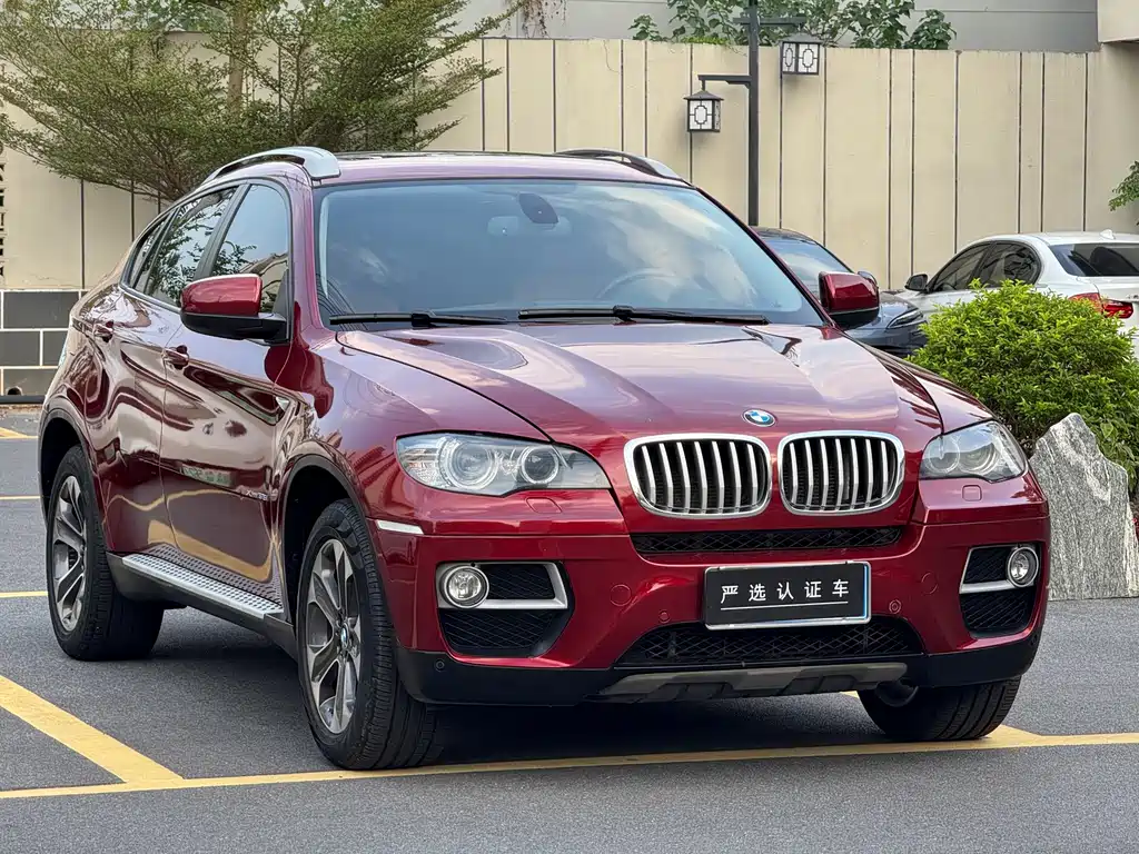 BMW X6 — миниатюра 3