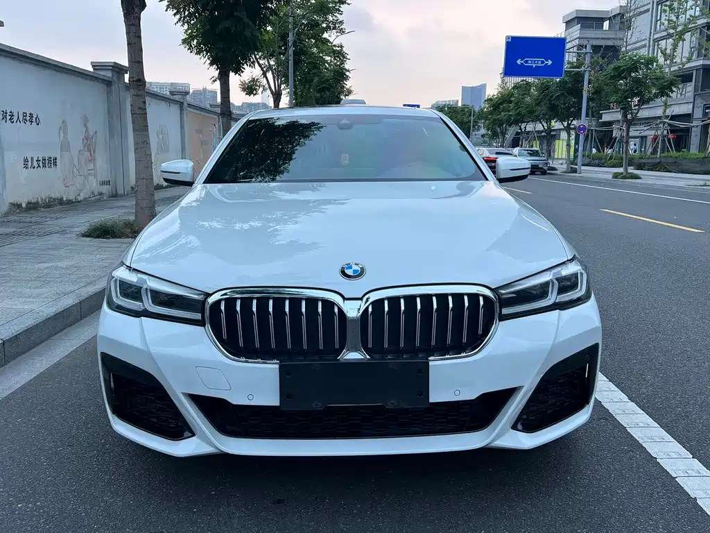 BMW 5 Series — миниатюра 2