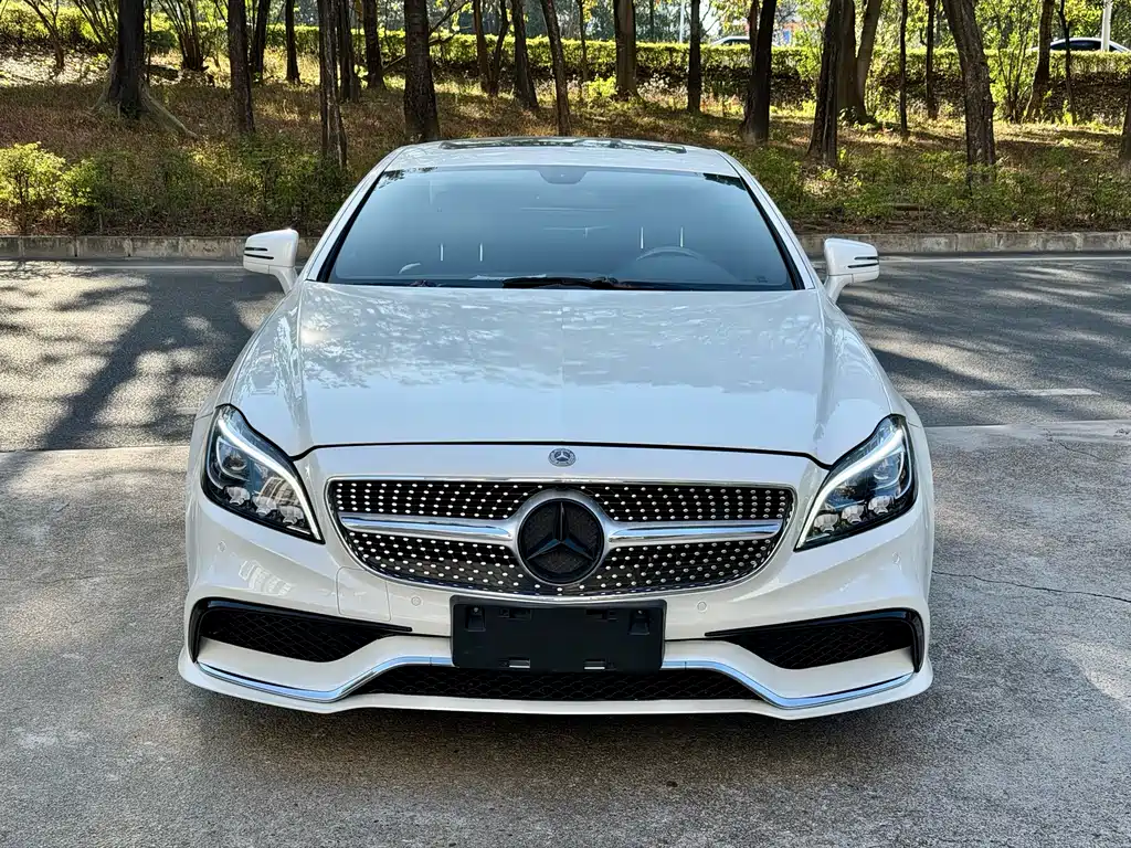 Mercedes-Benz CLS 2012 CLS 300 CGI