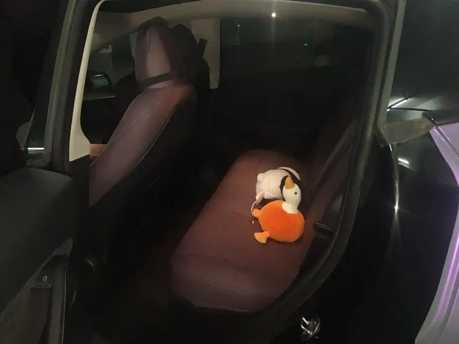 Tesla Model Y — миниатюра 11