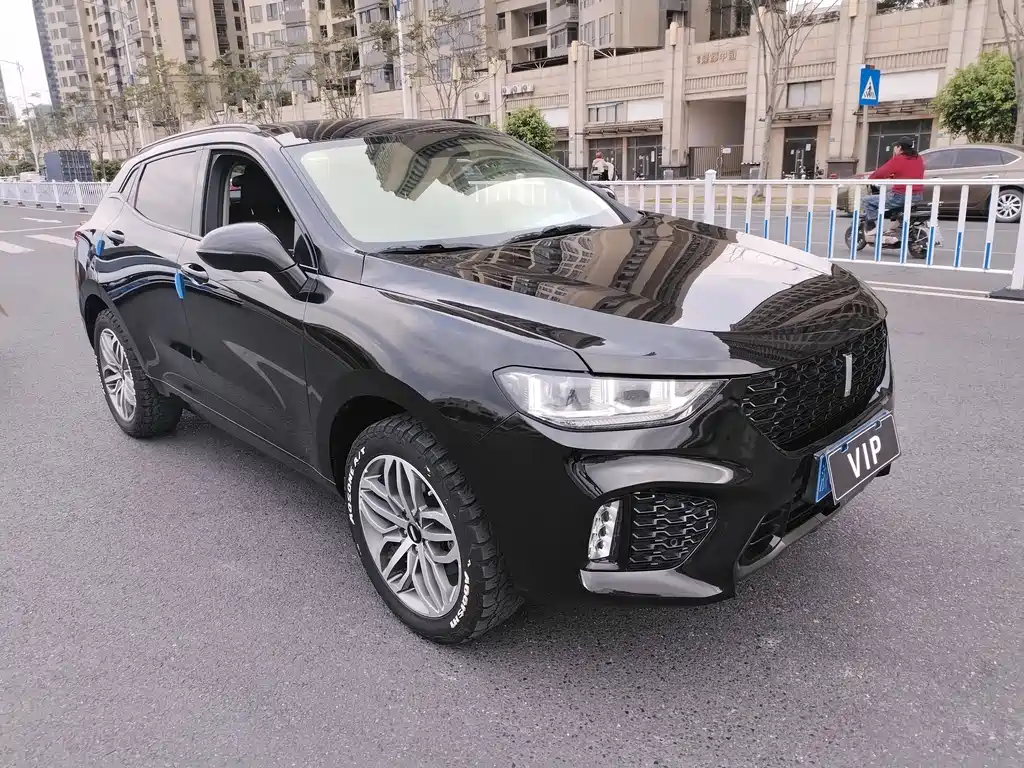 WEI PAI WEI BRAND VV5