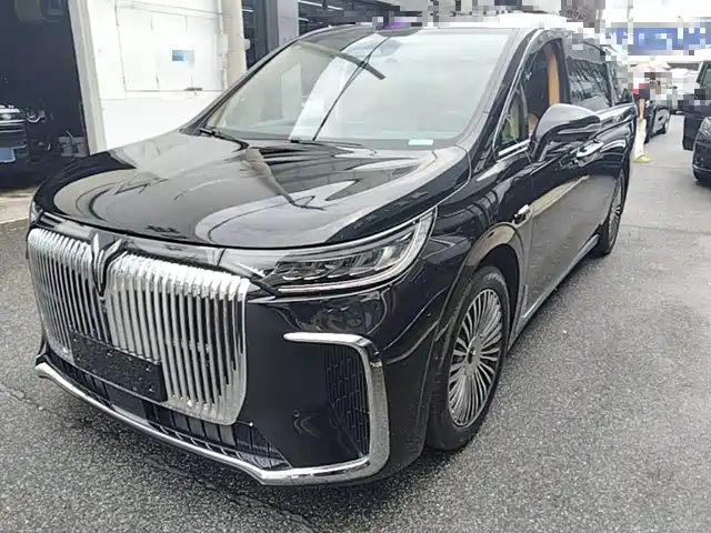 2025 Voyah Dream