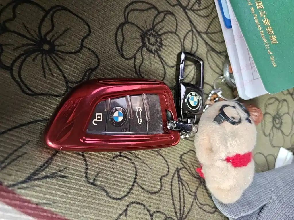 BMW X1 — миниатюра 9