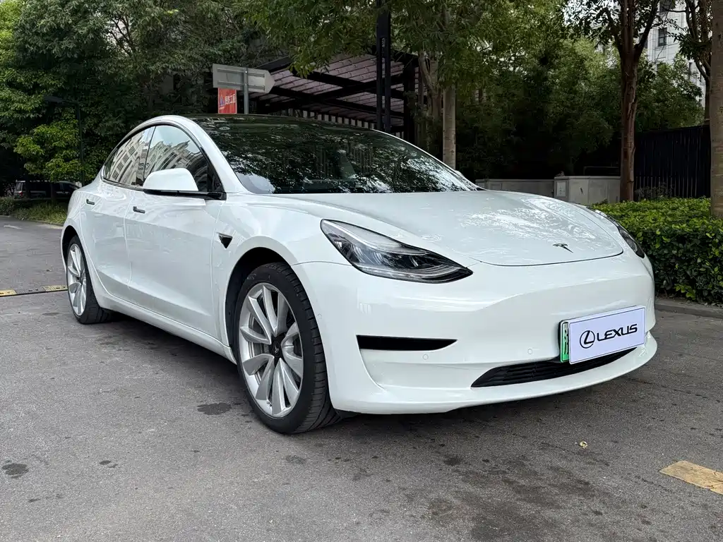 Tesla Model 3 — миниатюра 2