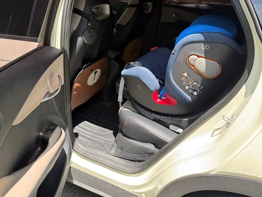 BYD Dolphin 2024 420km Fashion