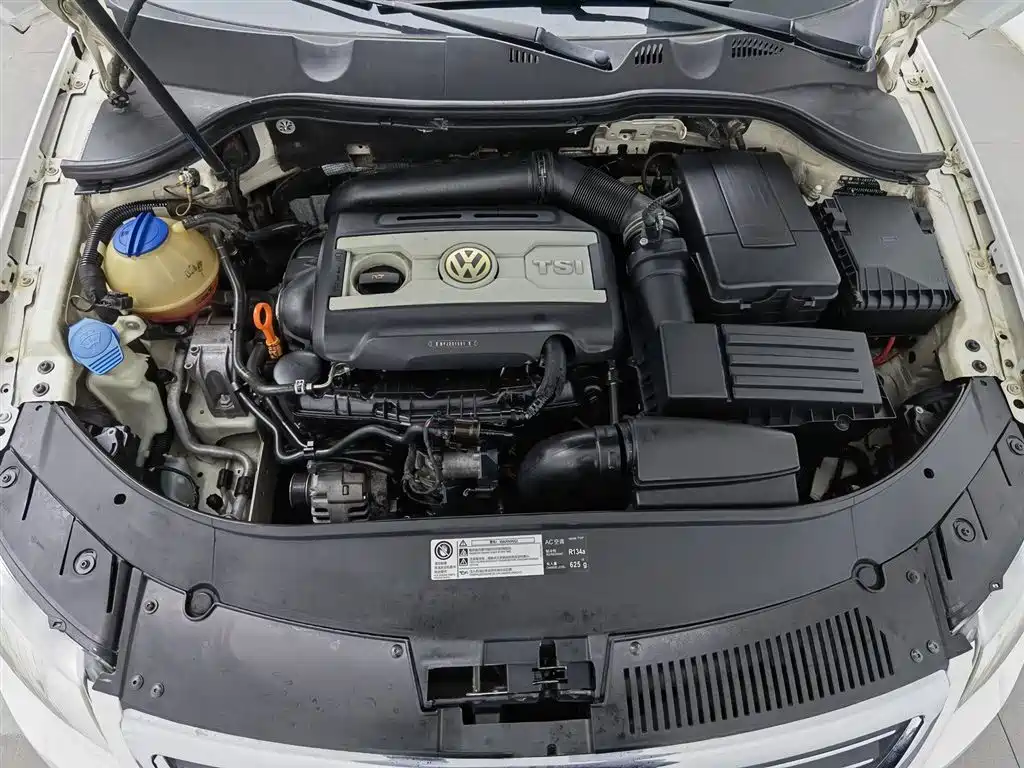 Volkswagen Magotan 2011 1.8TSI DSG Comfort