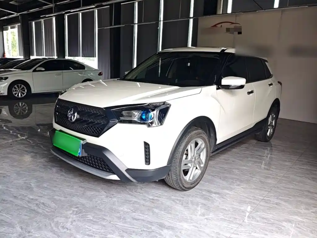 Venucia T60 — миниатюра 2