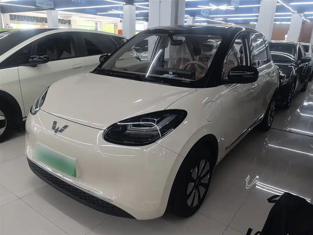 Wuling Binguo 2025 333km Enjoy