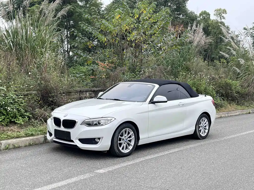 BMW 2 Series (Import) 2016