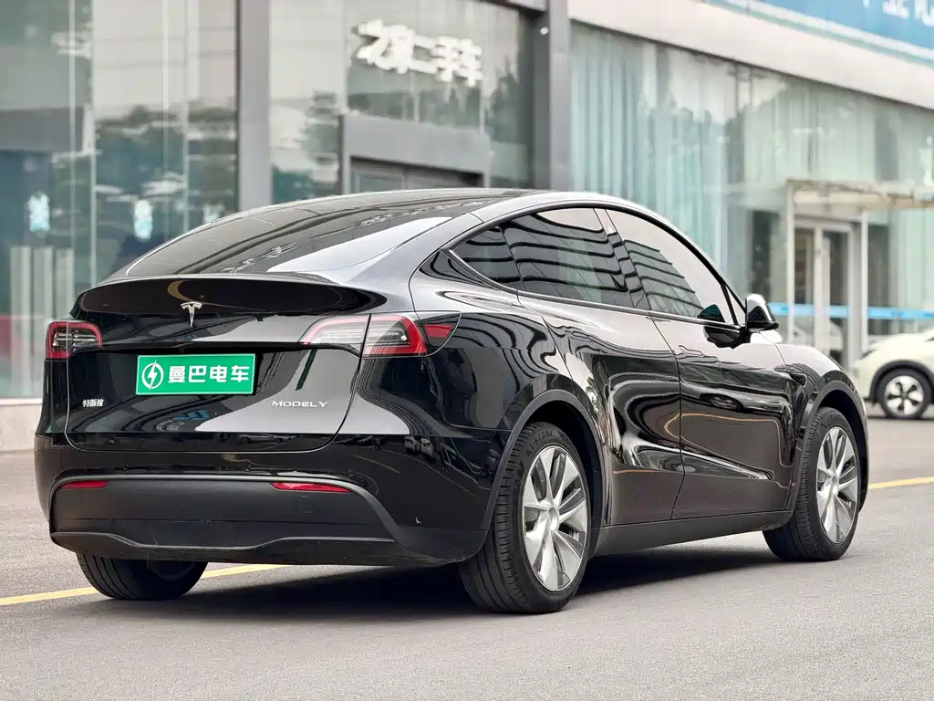 Tesla Model Y — миниатюра 5