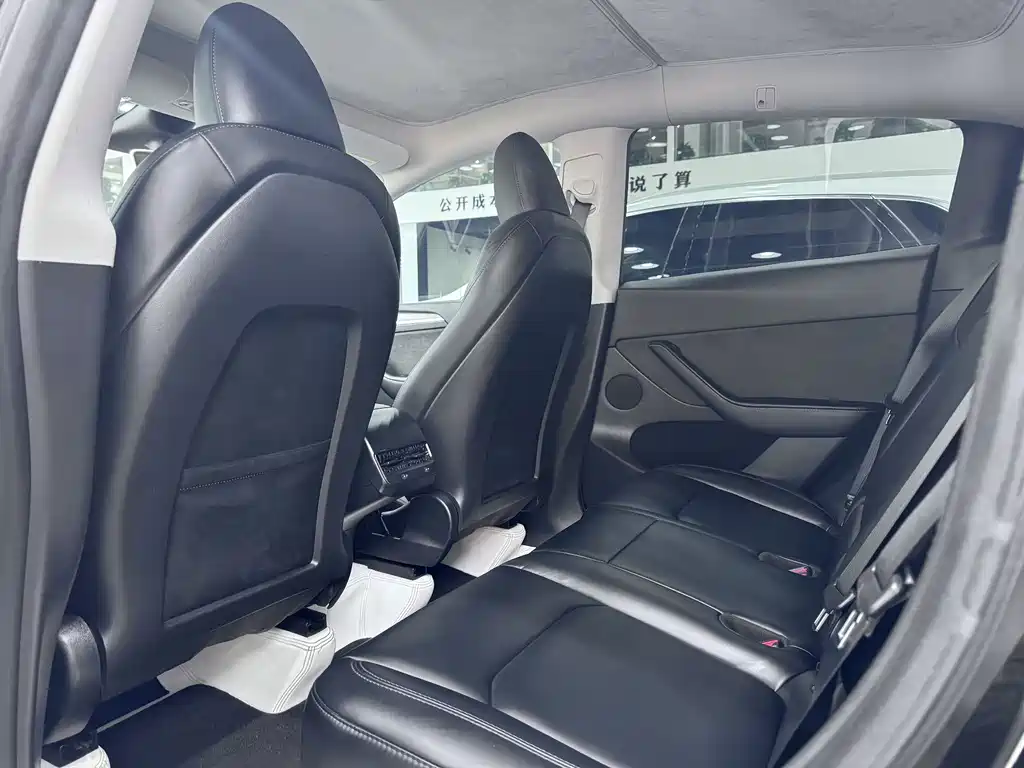 Tesla Model Y — миниатюра 15