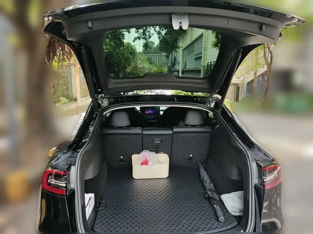 Tesla Model Y — миниатюра 20
