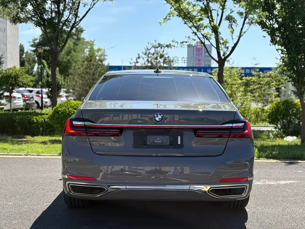 BMW 7 Series 7 2019 730Li Luxury