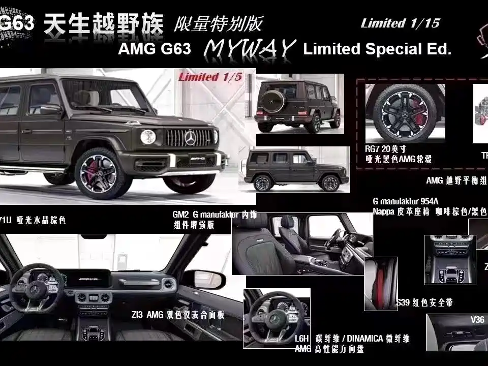 MERCEDES-BENZ G CLASS AMG