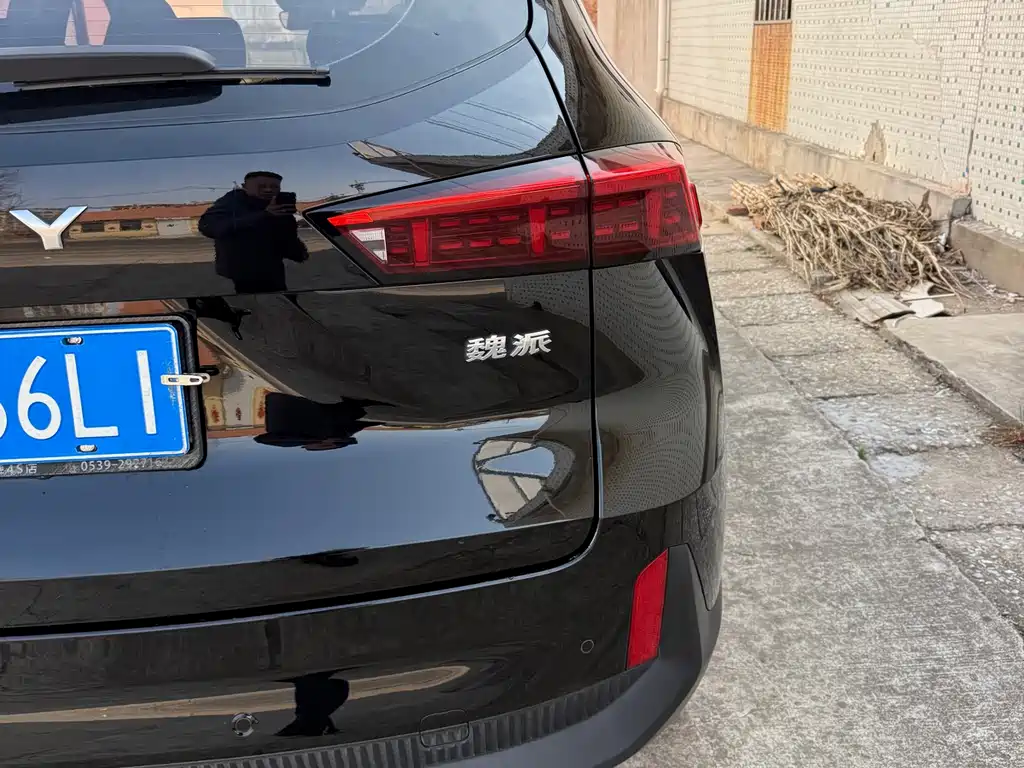 WEI PAI MACCHIATO DHT