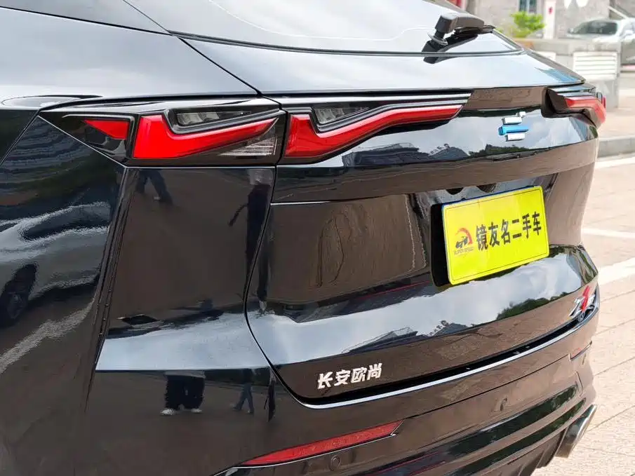 Changan Oshan Z6 2023 — фото 8
