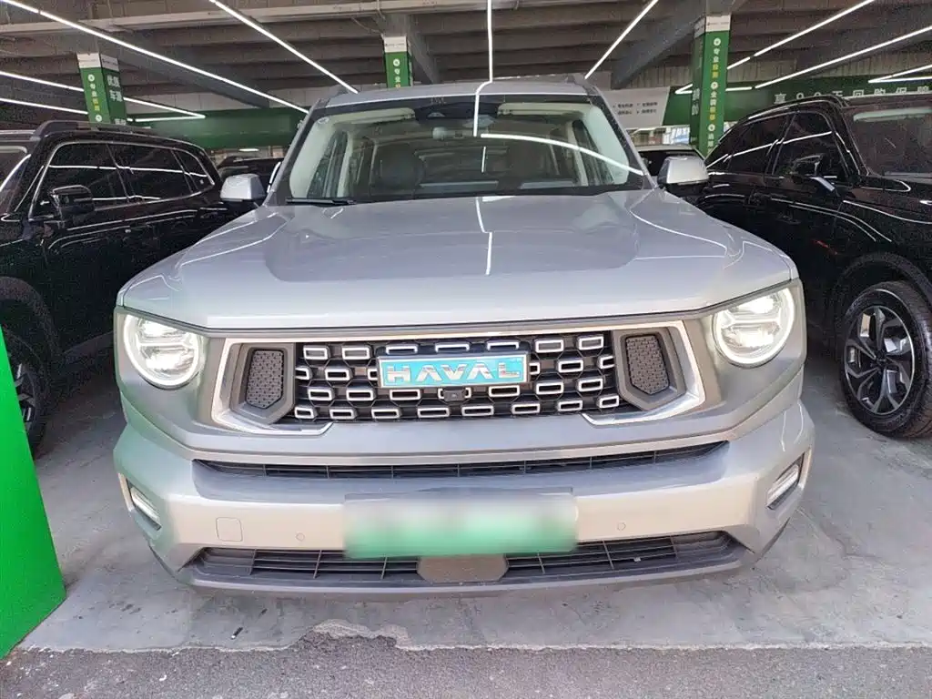 HAVAL SECOND GENERATION BIG DOG NEW ENERGY