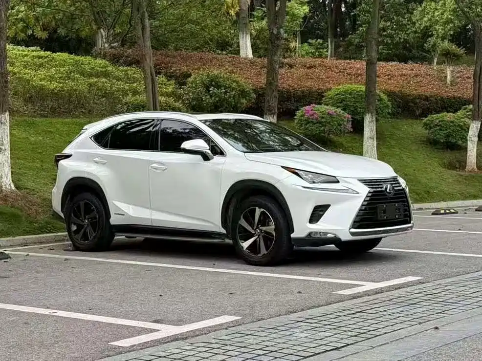 Lexus NX 2021