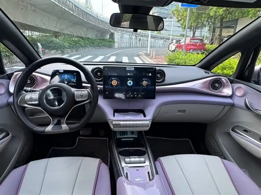 BYD Dolphin 2021 405km Fashion