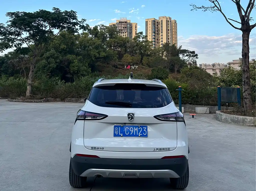 BAOJUN 510