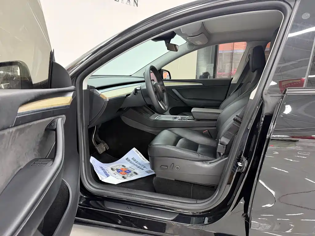 Tesla Model Y — миниатюра 7