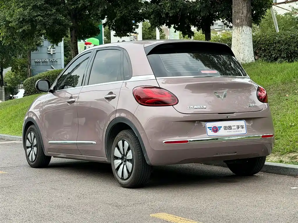 Wuling Binguo 2023 333km Enjoy +