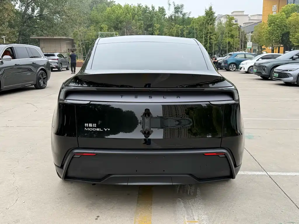Tesla Model Y — миниатюра 18