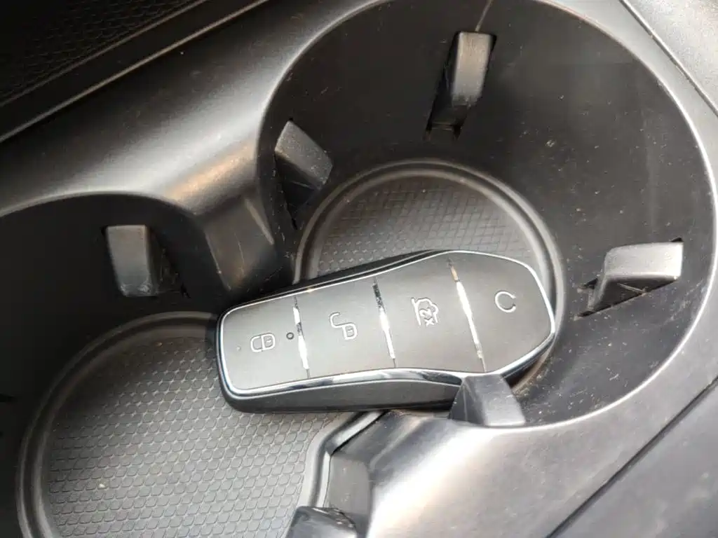 BYD Destroyer 05 2024 DM-i 55KM Luxury