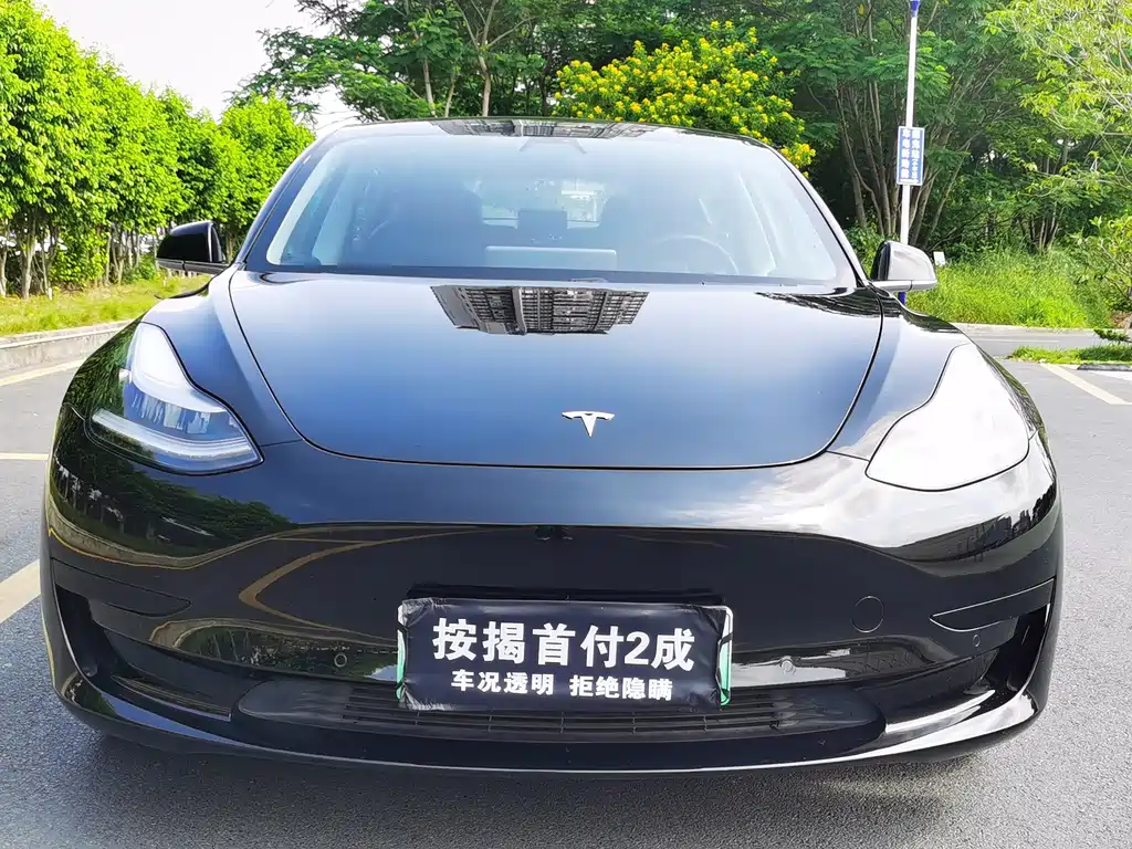 Tesla Model 3 — миниатюра 2