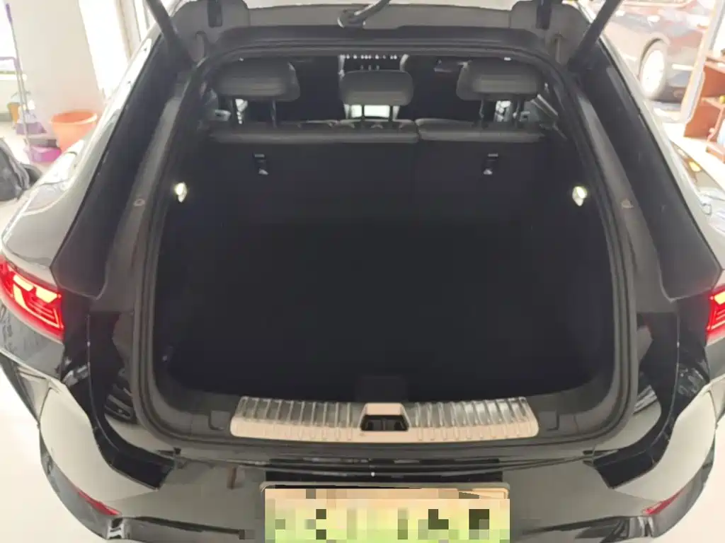 BYD L EV — миниатюра 19